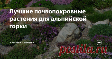 Лучшие почвопокровные растения для альпийской горки Альпийская горка, рокарий, сад камней - это великолепные инструменты для того, чтобы придать своему саду  красоты, необычности и стиля. И выбирать растения, которые будут красиво смотреться среди камней, нужно тщательно.
В каменных садах очень интересно смотрятся стелющиеся разновидности цветущий растений, и если их правильно подобрать, ваша композиция будет исключительно хороша.
