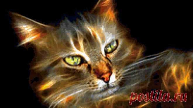 Предпросмотр схемы вышивки «Серия КОШКИ. котенок» - Вышивка крестом