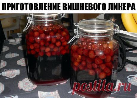 Приготовление вишневого ликера из 3-х ингредиентов! Густой ароматный напиток, с приятной кислинкой.

Какие же дамские посиделки без согревающего ягодного ликера? 
А если еще и напиток приготовлен гостеприимной хозяйкой с любовью, то такие дружеские встречи хочется повторять снова и снова. 

Поэтому стоит вооружиться рецептом домашнего вишневого ликера. 
Густой ароматный напиток получается сладким, но с приятной кислинкой. 
Если не удалять из вишен косточки, как мы и поступ...