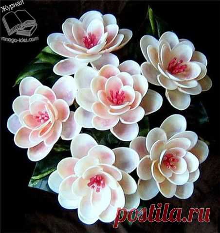 (99+) Одноклассники
