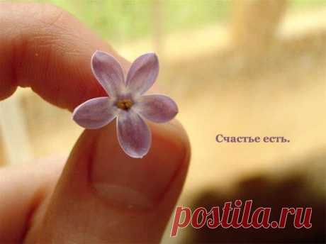 Дарья Исаченко. Про счастье...