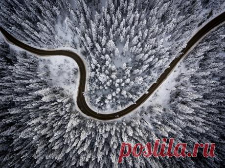 Through the Woods by Miles Stephenson – Beautiful Pictures