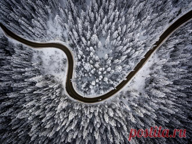 Through the Woods by Miles Stephenson – Beautiful Pictures