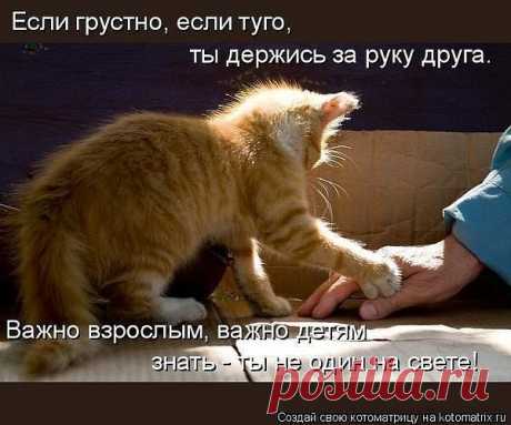 Мой Мир@Mail.Ru