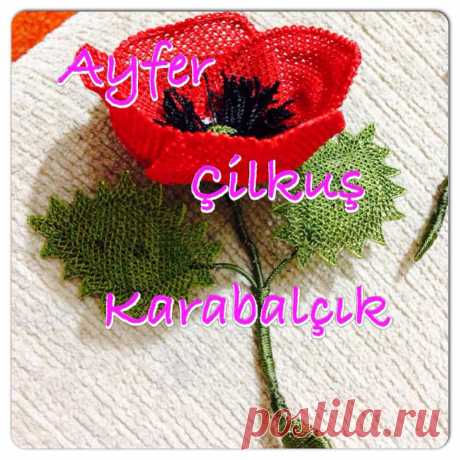 (13) Iğne Oyası Ayfer