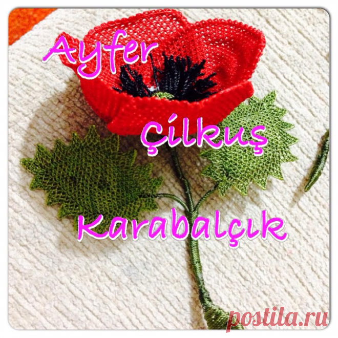 (13) Iğne Oyası Ayfer