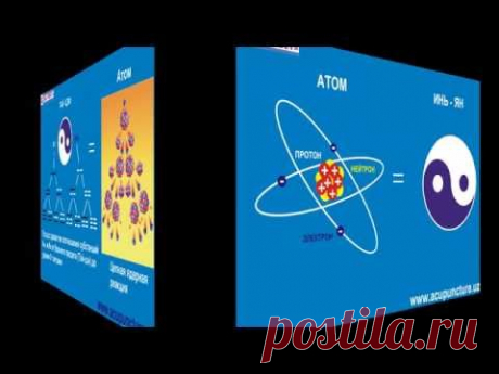 Инь Ян. Акупунктура. Иглотерапия. www.acupuncture.uz