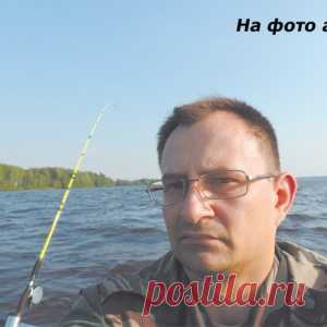 Не клюет. Не беда! Самое время изучить ситуацию - МирТесен