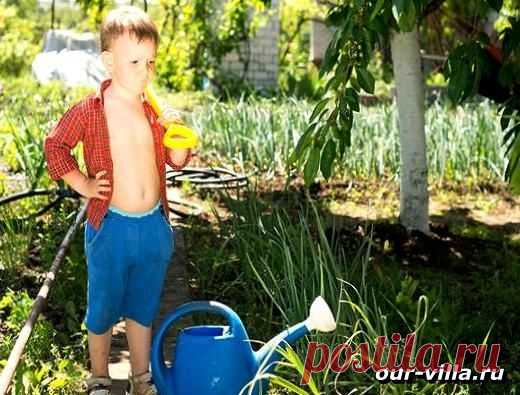Детская грядка научит ребенка многому
