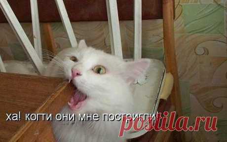 ЮМОР-ПОРТАЛ ▒ВИДЕО ツ☞ ФОТО ツ☞ ПРИКОЛЫ▒⎝⏜⏝⏜⎠
N A