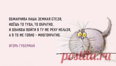 Прикольные картинки с надписями