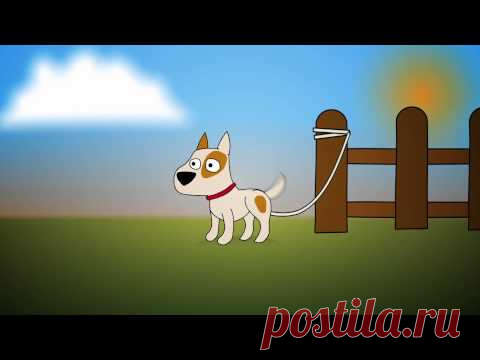 Дети и собаки. Правила безопасности | Разговоры на любые темы
