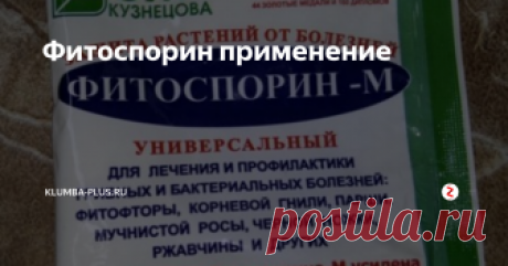 Фитоспорин применение Сейчас в каждом магазине для садоводов продается препарат Фитоспорин - М, который имеет широкий спектр фунгицидного действия для лечения и профилактики появления болезней растений вызванных бактериями и грибами – это корневые гнили, фитофтора, бактериоз, мучнистая роса, ржавчина, парша, появление плесени, черной ножки рассады и другие.