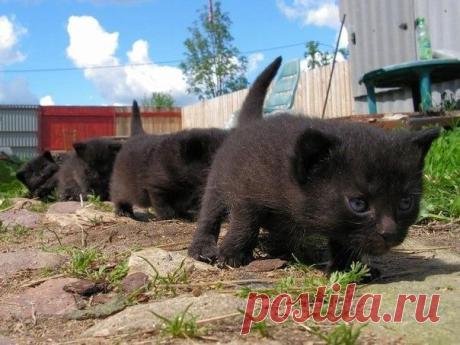Мой Мир@Mail.Ru