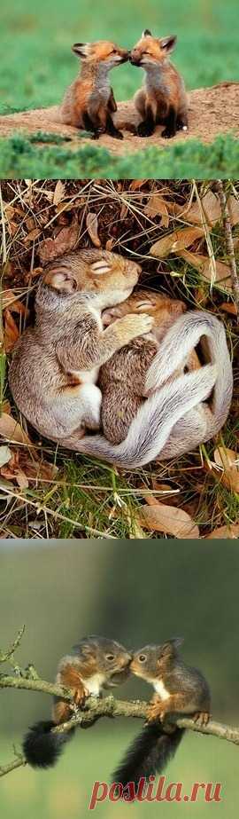 Love is…