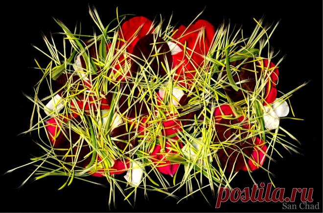 Сан Чад, San Chad * MODERN ART – 219 фотографий