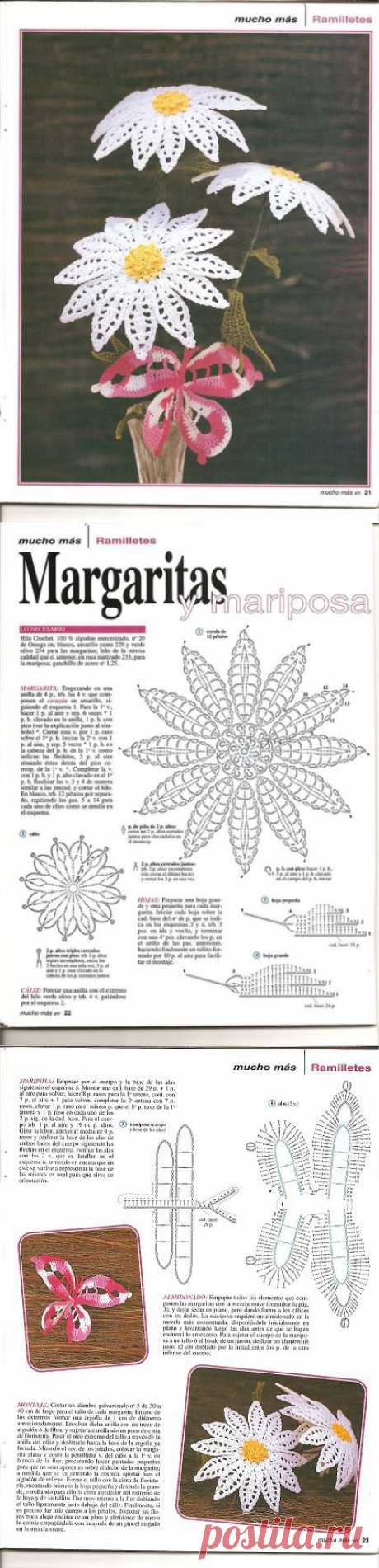 Маргаритки