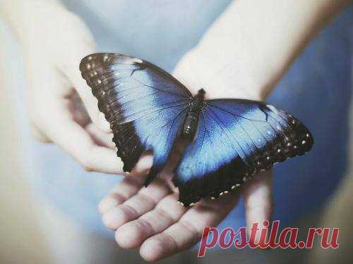 (17) ГРАНИ РЕАЛЬНОСТИ. ЭЗОТЕРИКА. ГАДАНИЯ. МАГИЧЕСКАЯ ПОМОЩЬ.