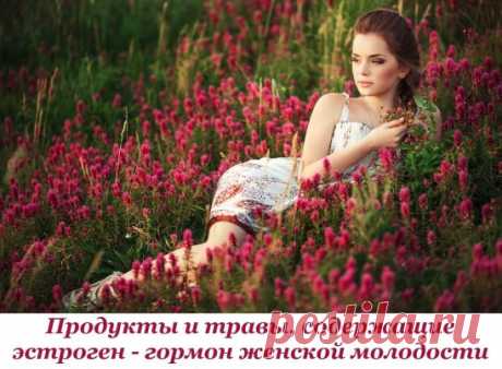 Продукты и травы, содержащие эстроген - гормон женской молодости