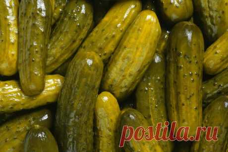 7 продуктов, содержащих пробиотики, которые очень нужны вам