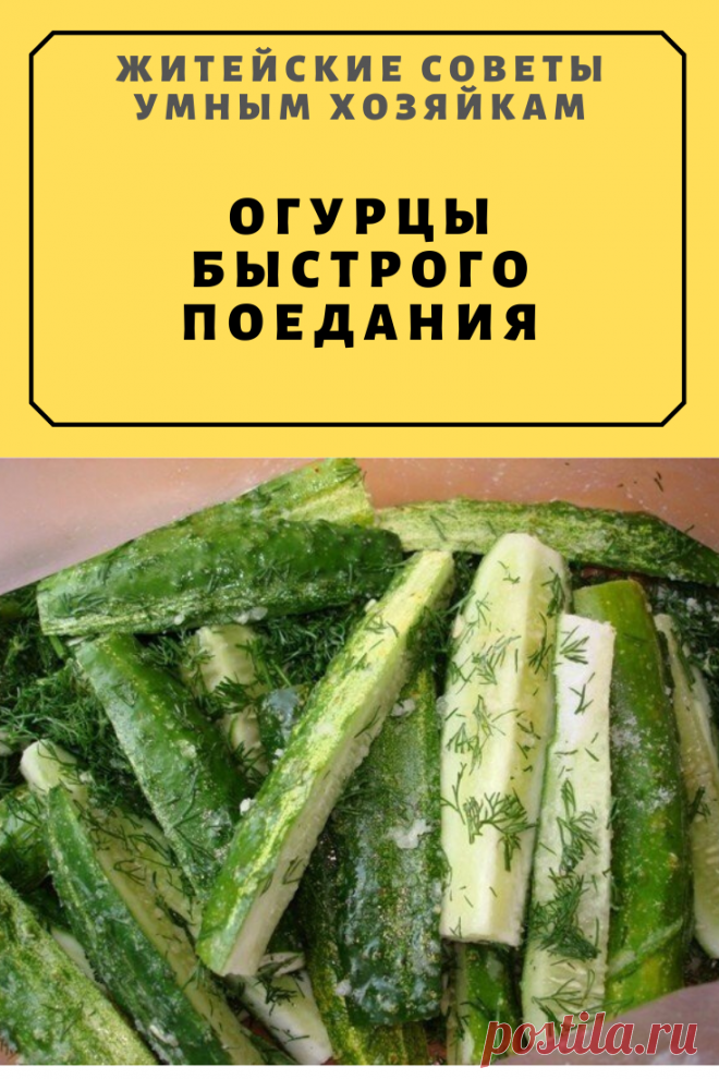 ОГУРЦЫ БЫСТРОГО ПОЕДАНИЯ | Житейские Советы