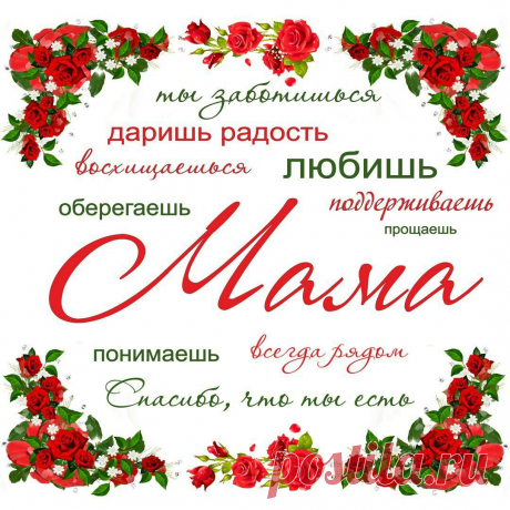 (4) Одноклассники