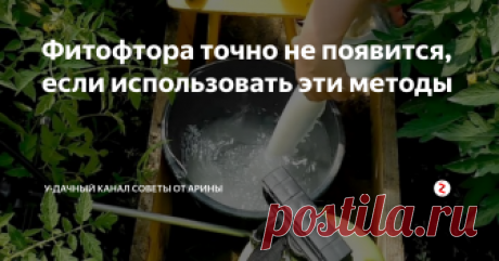 Фитофтора точно не появится, если использовать эти методы Проблема фитофтороза у помидоров стоит очень остро. А если я вам скажу, что ее можно победить всего при помощи нескольких пузырьков йода и литра молока. Заманчиво? Растения, как и люди подвержены различным заболеваниям, и точно также при недостатке йода страдает иммунитет растений. Вот о том, как использовать йод в профилактических и лечебных целях, я сегодня вам и расскажу.
Причины появления фито