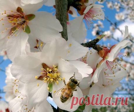 h-229.jpg (650×543)