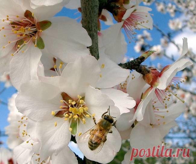 h-229.jpg (650×543)