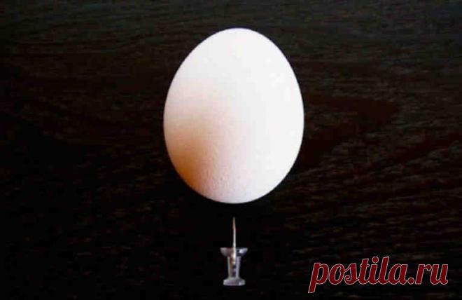 А вы уже знаете, что будет, если перед варкой проколоть яйцо булавкой?