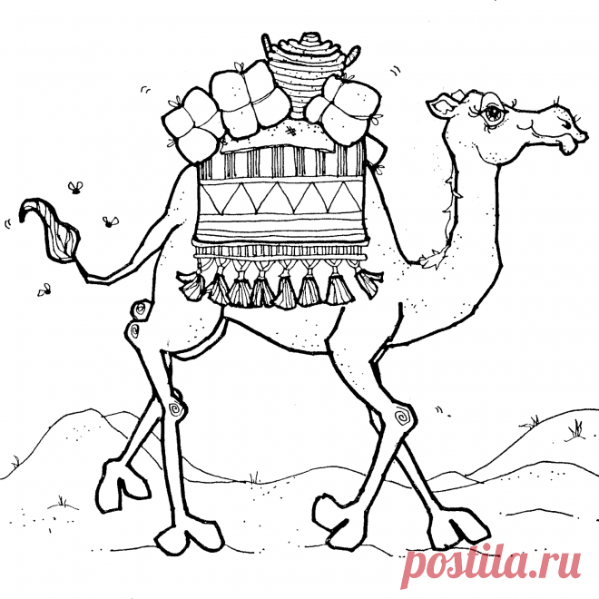 Раскраски верблюдов скачать или распечатать