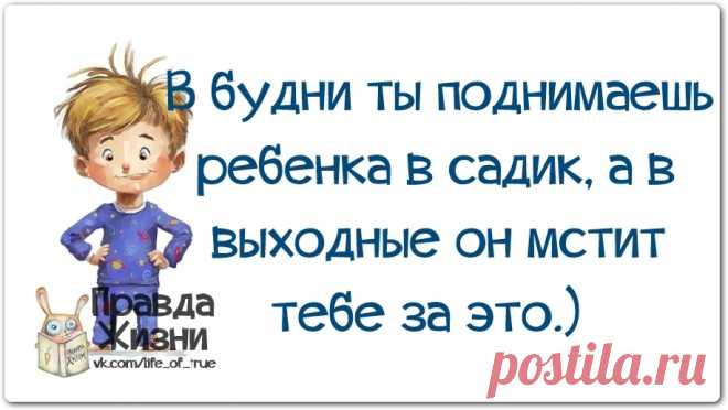 Правда Жизни | Юмор, Мотивация, Сарказм, Цитаты