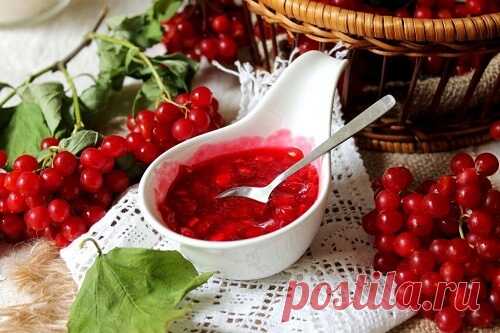 Калина с мёдом от всех болезней: рецепты — Советы для женщин