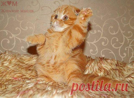 ᴼᴿᴵᴳᴵᴺᴬᴸ   SМАЙЛИКИ   (ړײ)
