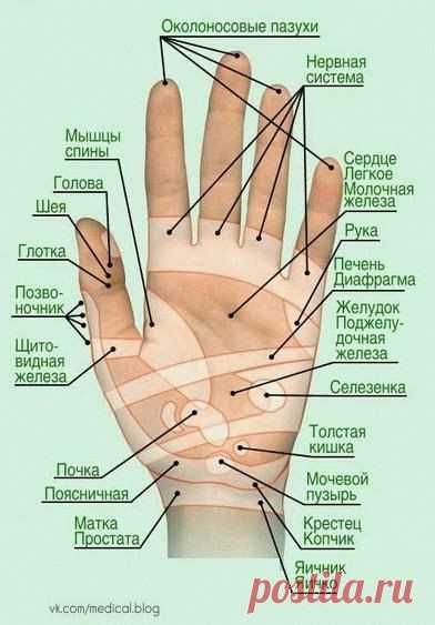 Wp1h8ohr4kk.jpg (392×563)