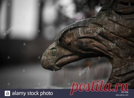 Stock Photo - Vintage eagle statue on the street of Germany Download this stock image: Vintage eagle statue on the street of Germany - MY1R4B from Alamy's library of millions of high resolution stock photos, illustrations and vectors.