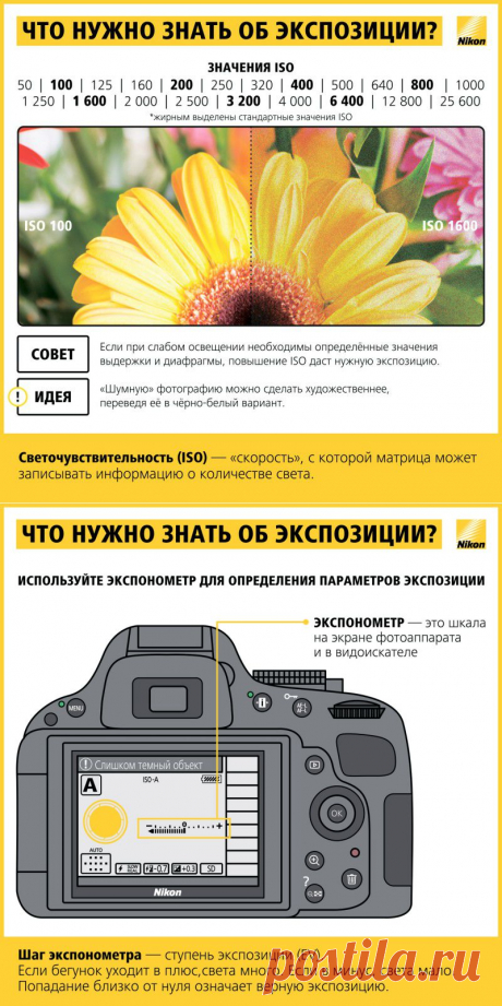 Как научиться фотографировать: пошаговая инструкция от Nikon • НОВОСТИ В ФОТОГРАФИЯХ