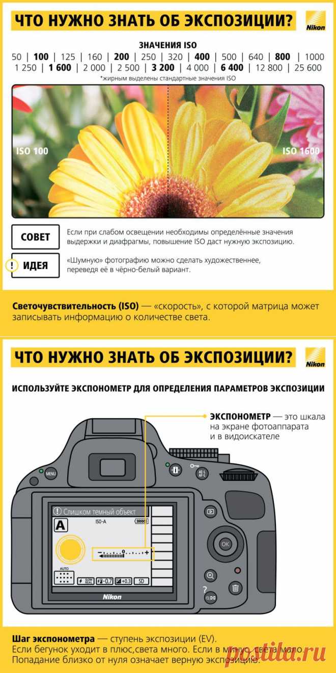Как научиться фотографировать: пошаговая инструкция от Nikon • НОВОСТИ В ФОТОГРАФИЯХ