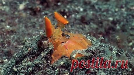 [4K] Музыка - Красивый ОКЕАН, Шикарная Музыка