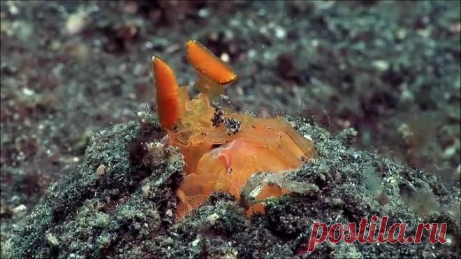 [4K] Музыка - Красивый ОКЕАН, Шикарная Музыка