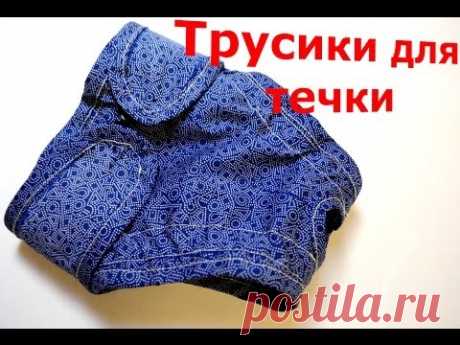 Трусы для течки шьем сами (выкройка) /Pattern Sew Dog Pants