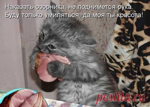 Корпорация Юмора ツ