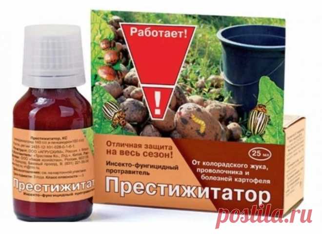 Полезные нюансы выращивания, картофеля. Возможно, вы этого не знали | Цветочная няша | Дзен