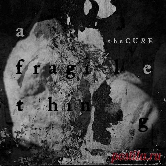The Cure - A Fragile Thing (Single) (2024) 320kbps / FLAC