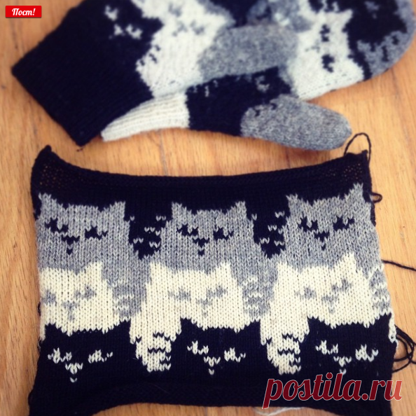 в Instagram: «Kitten stripes!