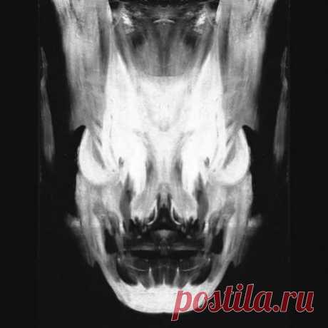 Code 906 — Wandering Demonic One 2022 LP UK:USA DOWNLOAD