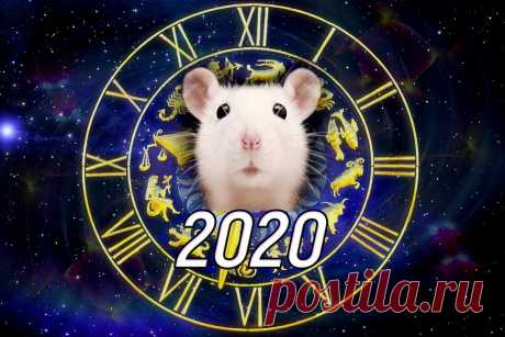 В Новый 2020 год со своим девизом!