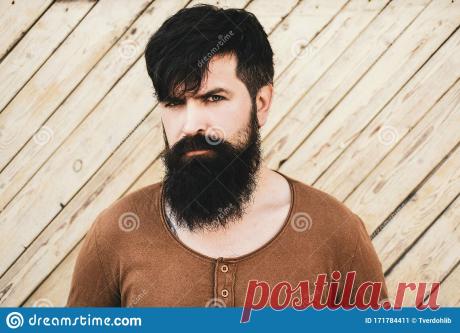 Зачем взрослому современному мужчине усы? Миллион советов на все случаи жизни!
