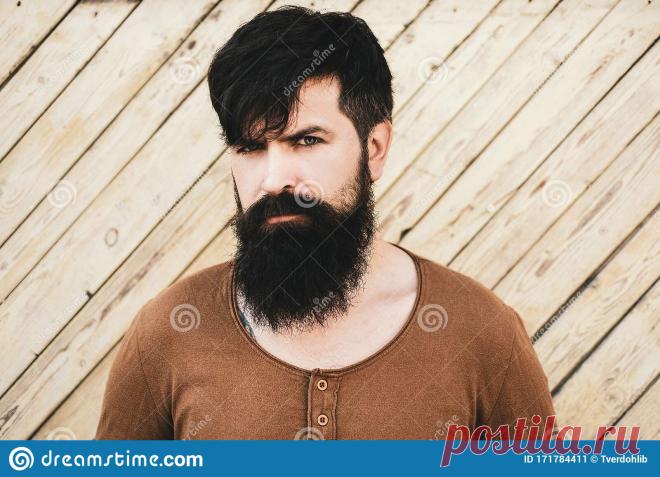 Зачем взрослому современному мужчине усы? Миллион советов на все случаи жизни!