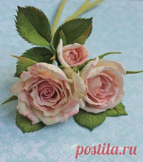 Мария Дружинина